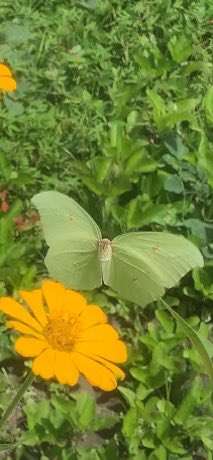 Zula Torres (@zulatorres11) on Twitter photo 