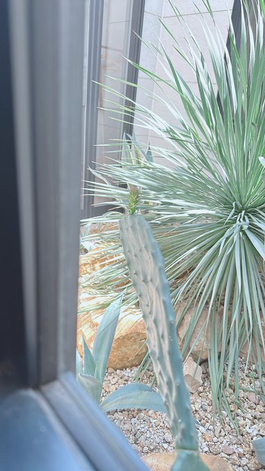 Twitterのコスプレ画像23