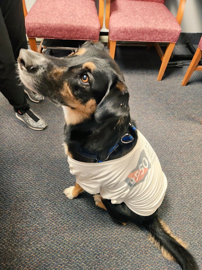 Dr. Doris Grinspun 🇨🇦 RN, PhD, FAAN, O.ONT tweet media