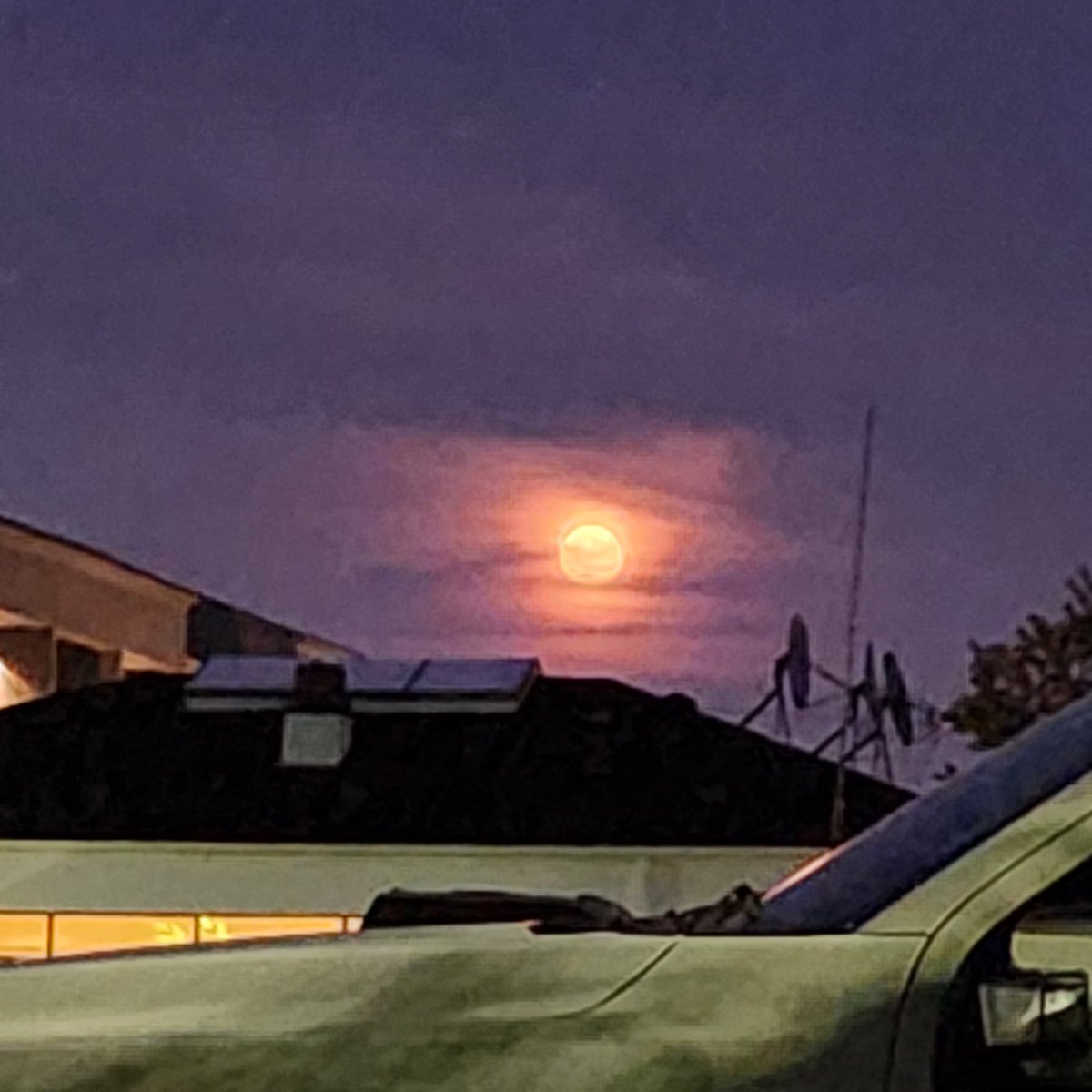 Tim Schweyer tweet media