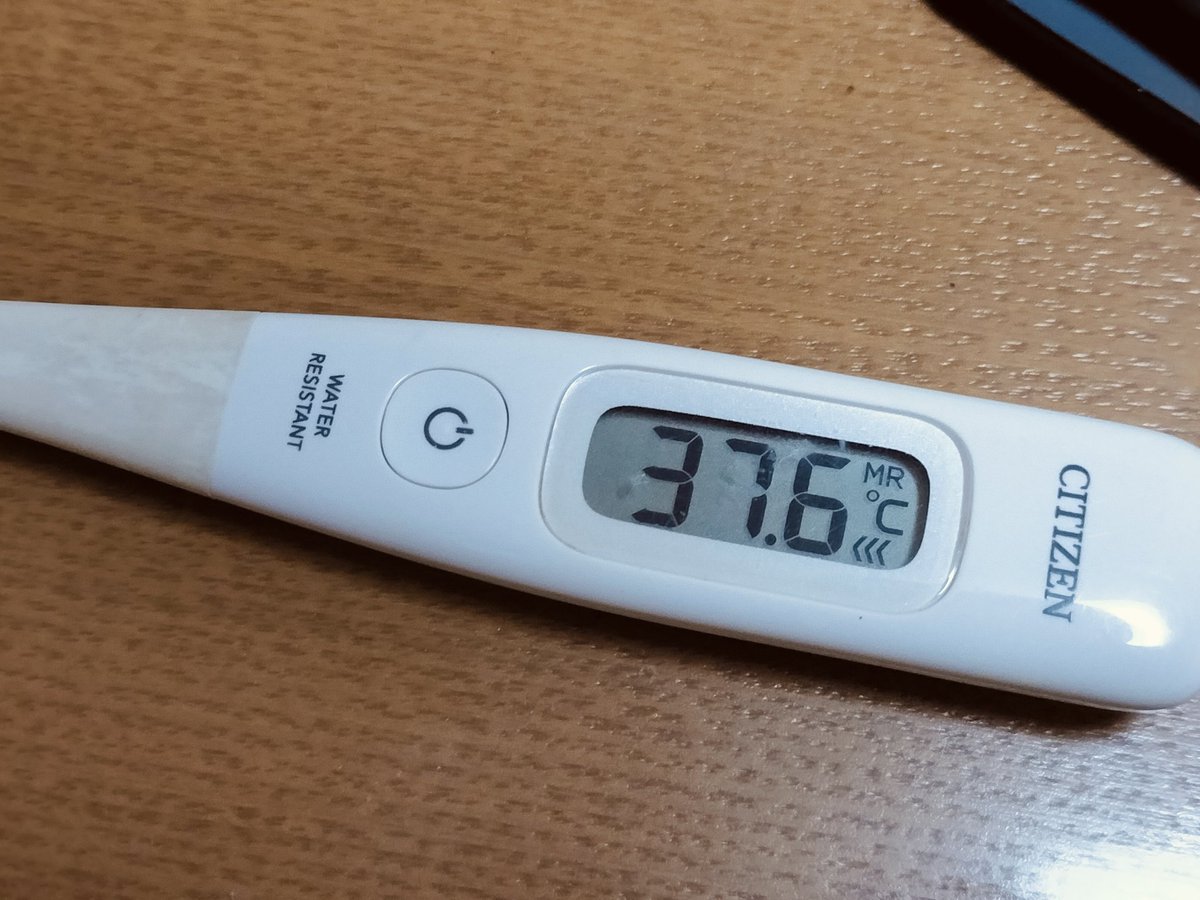 鷹猫@エスカルゴcc関東 tweet media