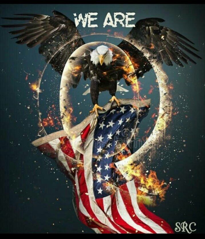 $Qanon Trump Cult CTO tweet media