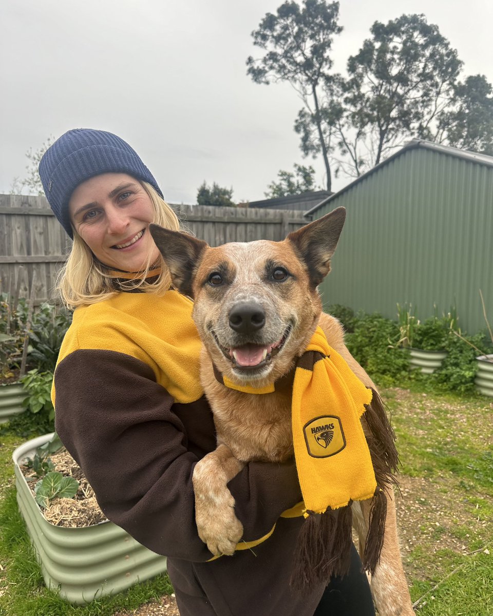 hawthornaflw's tweet photo. Pet memberships are available for those who want to make their dogs look as cute as Ted and Luna 🥹💛

Join @GretaBodey and @kstratts26 here: https://t.co/6cwC5GTLo4 https://t.co/NLF4hVS4sq