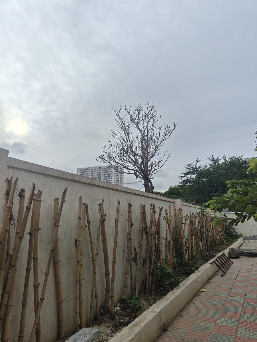 lukmtweeting's tweet photo. Sunday https://t.co/iaSbHeA0TG