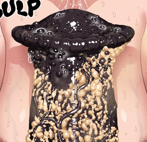 ° 𝐓𝐄𝐌𝐏𝐎𝐑𝐀𝐋 𝐏𝐈𝐍𝐍𝐄𝐃.
• 𝐋𝐄𝐖𝐃 𝐀𝐂𝐂.
○ 𝐋𝐈𝐌𝐈𝐓𝐋𝐄𝐒𝐒 &amp; 𝐓𝐀𝐁𝐎𝐎.