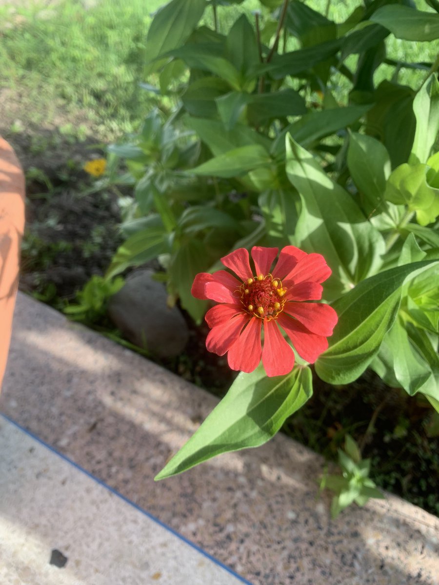 Zula Torres (@zulatorres11) on Twitter photo 