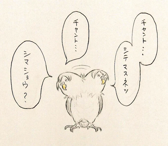 出がけにマスクチェックしてくるヒョウコ。(もう盛り過ぎてインコには見えない。久々で何羽目かも忘れた) #dcst 