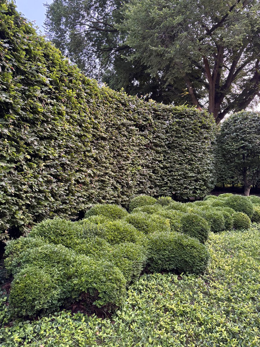 Alex Bozikovic tweet media