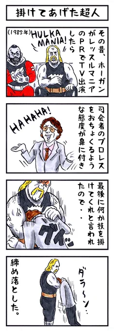 ハルク・ホーガンの場合。
#味のプロレス #テレビ 