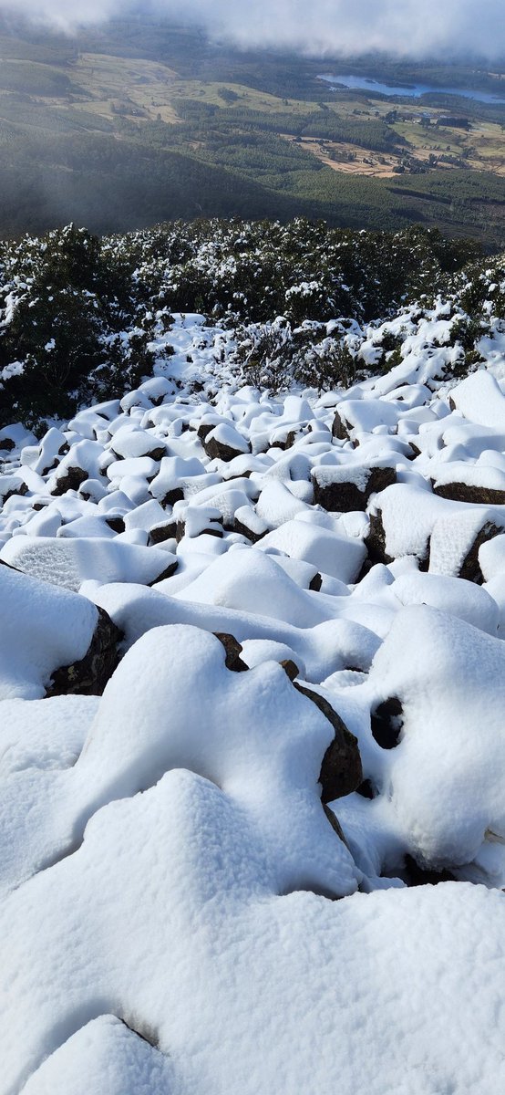 Got a snow adventure in yesterday. Mt Barrow is great little spot.