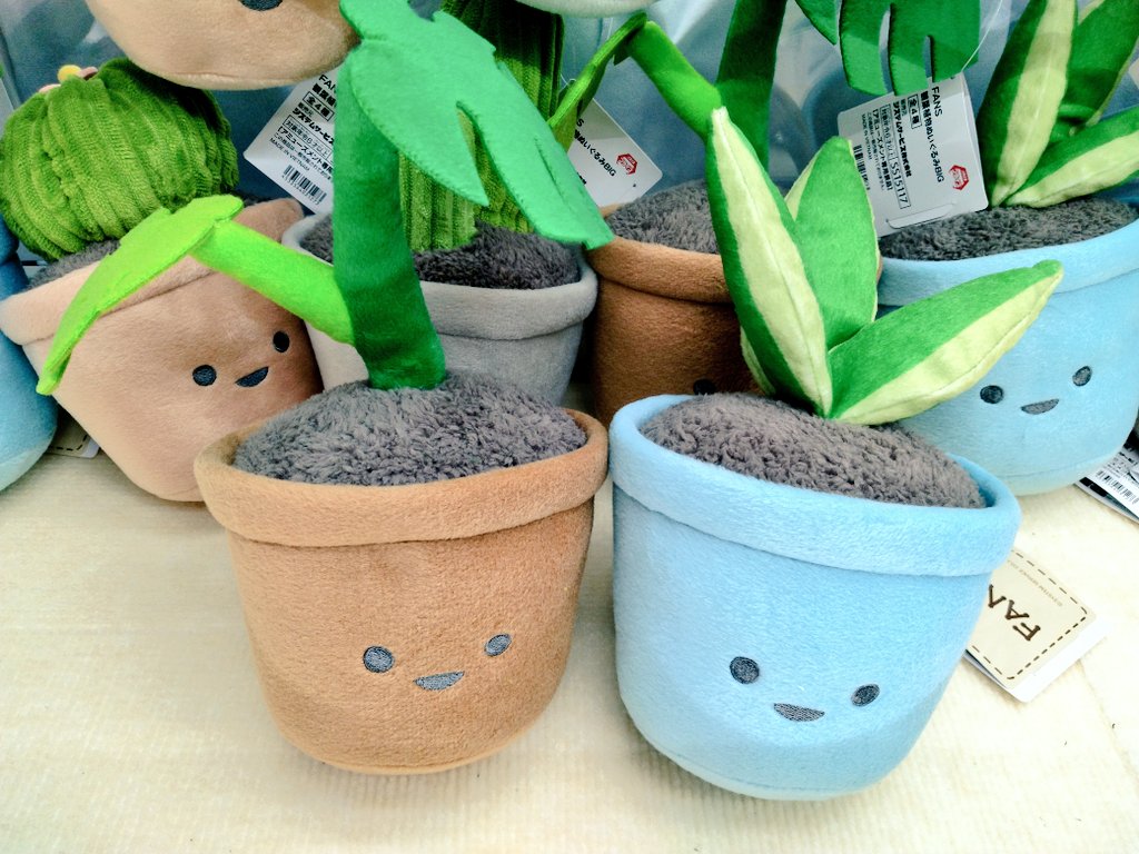 JELLYCAT 観葉植物 ぬいぐるみ モンステラ 【公式通販】
