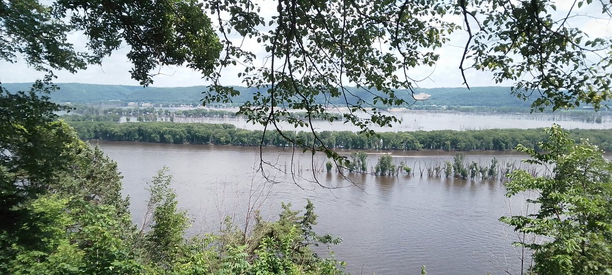 NahraFamily's tweet photo. #Iowa, #Mississippi from Guttenberg city
July 2024 https://t.co/nsmSjx7HVH
