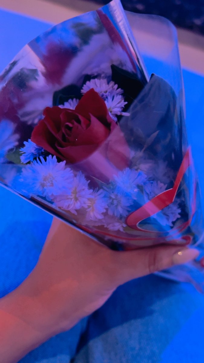 TarcylaXavier's tweet photo. Eu nunca tinha ganhado uma flor na vida, ganhei ontem. 😍😍 e ainda as flores pequenas são roxas na minha cor preferida 💜 https://t.co/pFNxKptnLB