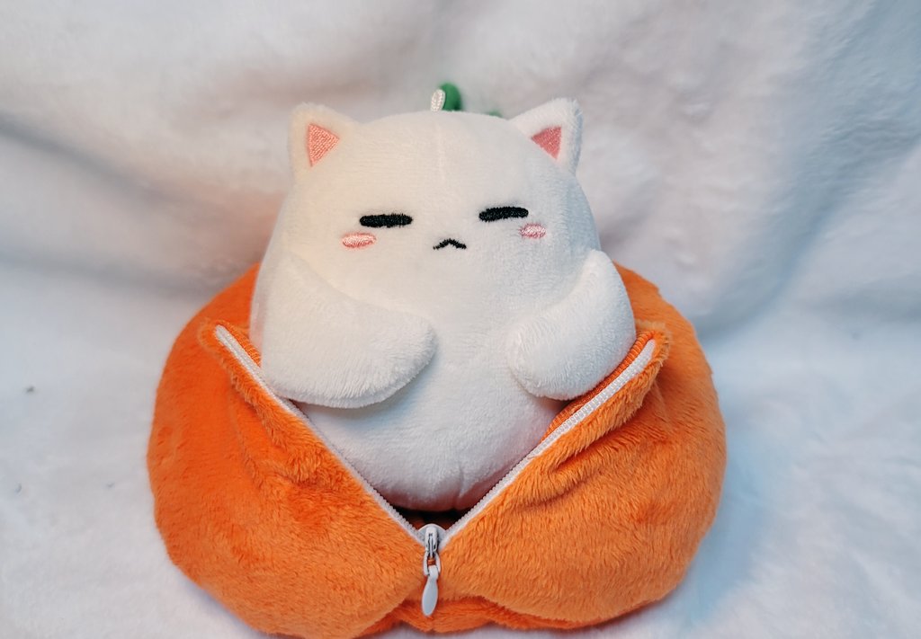 jastipin613's tweet photo. [🇲🇨 INA GO] OPEN PO TANGERINE CAT DOLL by @Lumax_0613 @gywk1010_2

LAST PRODUCTION‼️

PRICE: 375K, DP 150K

Close order: 30 Jul 2024
Prod. time: 3-4 bulan

📍JKT/BKS

✅EMS TAX
✅️Packing
🚫 ORDER = NO CANCEL

ORDER BY DM
patient buyer only 🙏

t. suga bts doll fanmade https://t.co/8qE0SLvhSR
