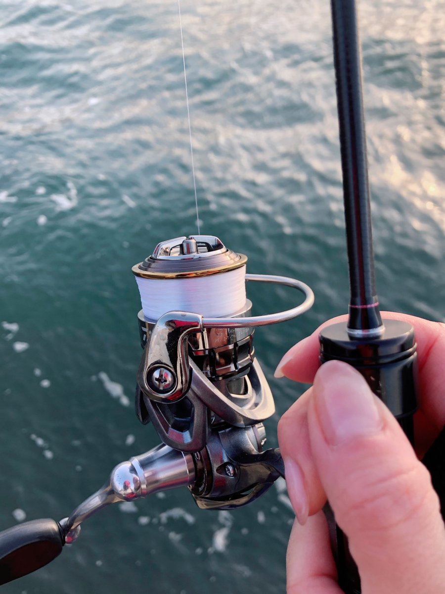 一緒にうろこまみれになった釣具たち✨ 鯵の糸エステル ナイトブルー 0.4号 もっと細い糸も興味はあるけれど、0.4でも毎回切れそう！！
#釣り #釣り人 #釣り好き #釣り大会 #釣り初心者 #釣り女子 #釣り仲間 #釣りライフ #釣り糸 #釣り道具