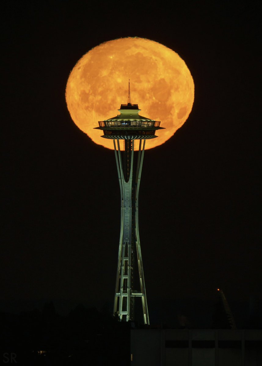 kiwibacon tweet picture