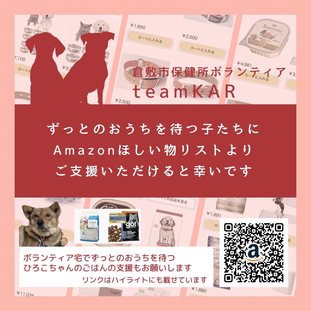 lharmonie2424's tweet photo. いつも皆様からの応援、ご支援に支えられ、倉敷市保健所の収容犬への犬舎外部クリニックでの医療行為を続けることができています。

心からの感謝をこめて
2024年5-6月のご報告をさせていただきます。

手交によるご支援はいただいた日付と銀行入金日が異なることがあります。ご了承ください

また、 https://t.co/UqLK20S3Xp