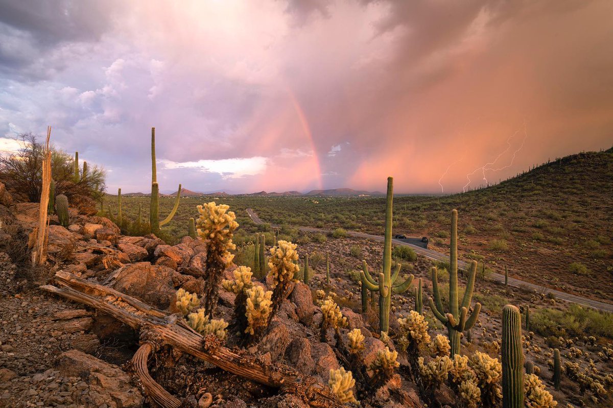 Visit Arizona tweet media