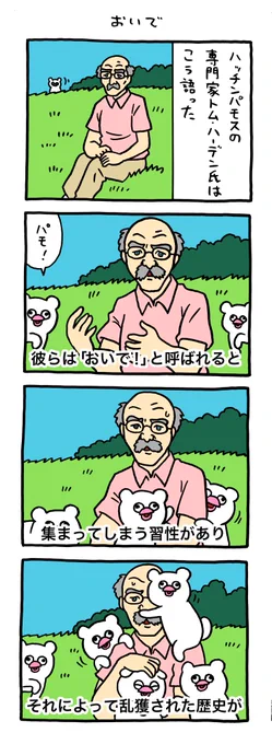 絶滅寸前の動物ハッチンパモス「おいで」 https://t.co/YGYFJOLpYD 