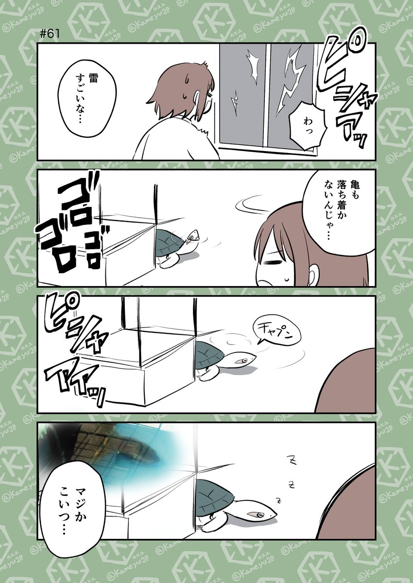 昨日の亀
#4コマ漫画 