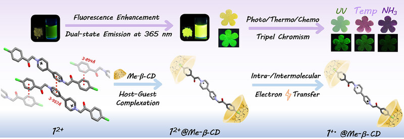 AggregateOA's tweet image. Early View💡
"#Viologen-based host–guest #supramolecule with tunable intramolecular/intermolecular electron transfer #chromism and #dynamic fluorescence"by Jiaqiang Xu &amp;amp; Yue-Ling Bai et al. @Wiley_Chemistry #cyclodextrins

Check👉doi.org/10.1002/agt2.5…