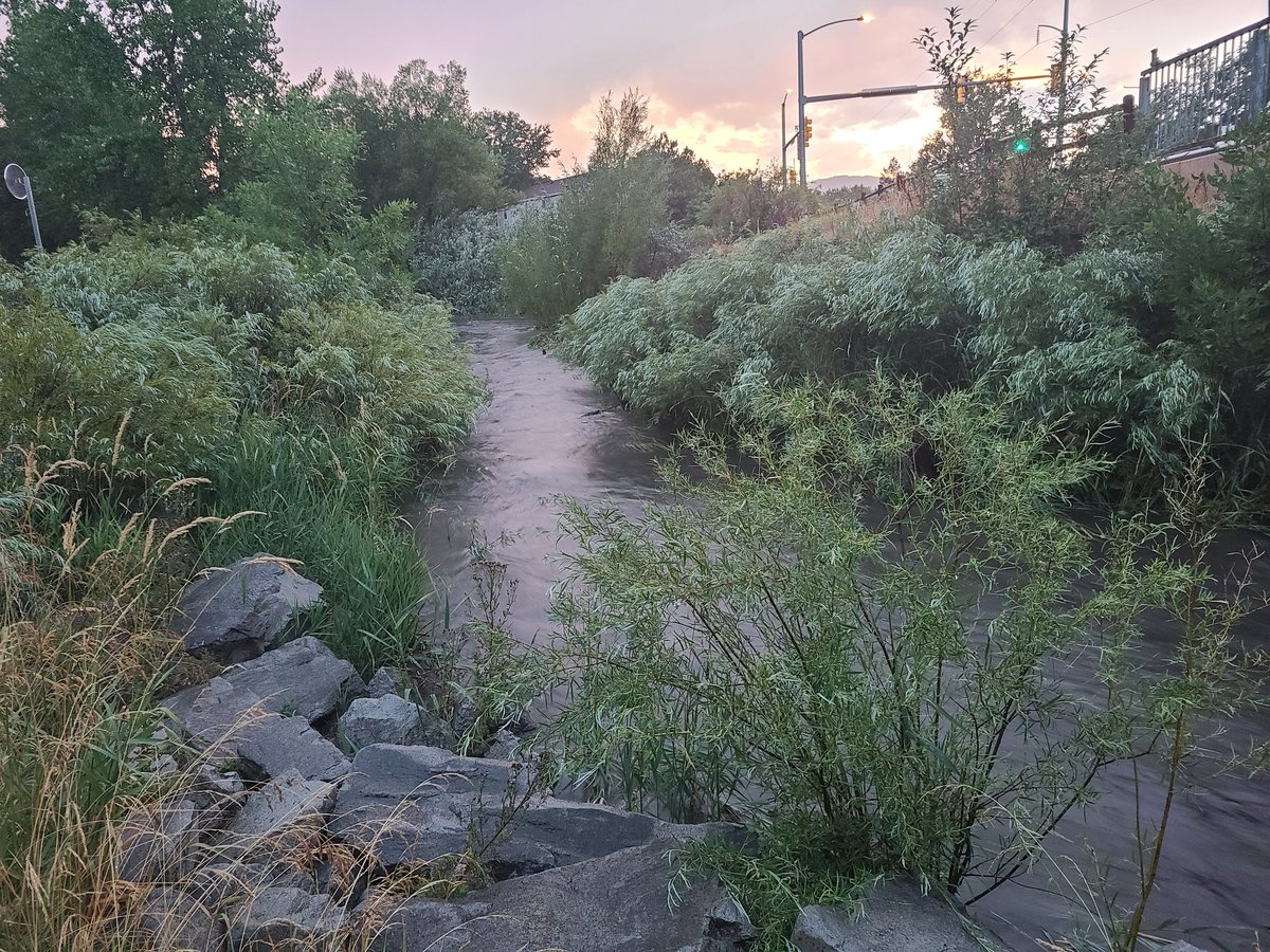 Daniel Amerman tweet media