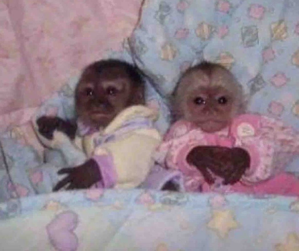 Hija, a qué hora se va a ir tu novi…