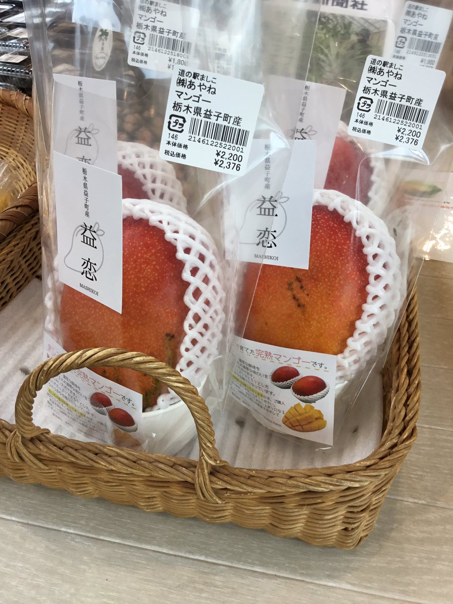 045shokunou's tweet photo. 【#道の駅ましこ　#ましこのマルシェ　果物情報】
益子産のマンゴー🥭『益恋』入荷しております‼︎‼︎
完熟なので果汁たーっぷり♬
益子は果物盛りだくさんです！🍌🍑🍍🍉

#益子町　#益子　#道の駅　#野菜　#果物　#工芸品 https://t.co/APCSYOzJKM