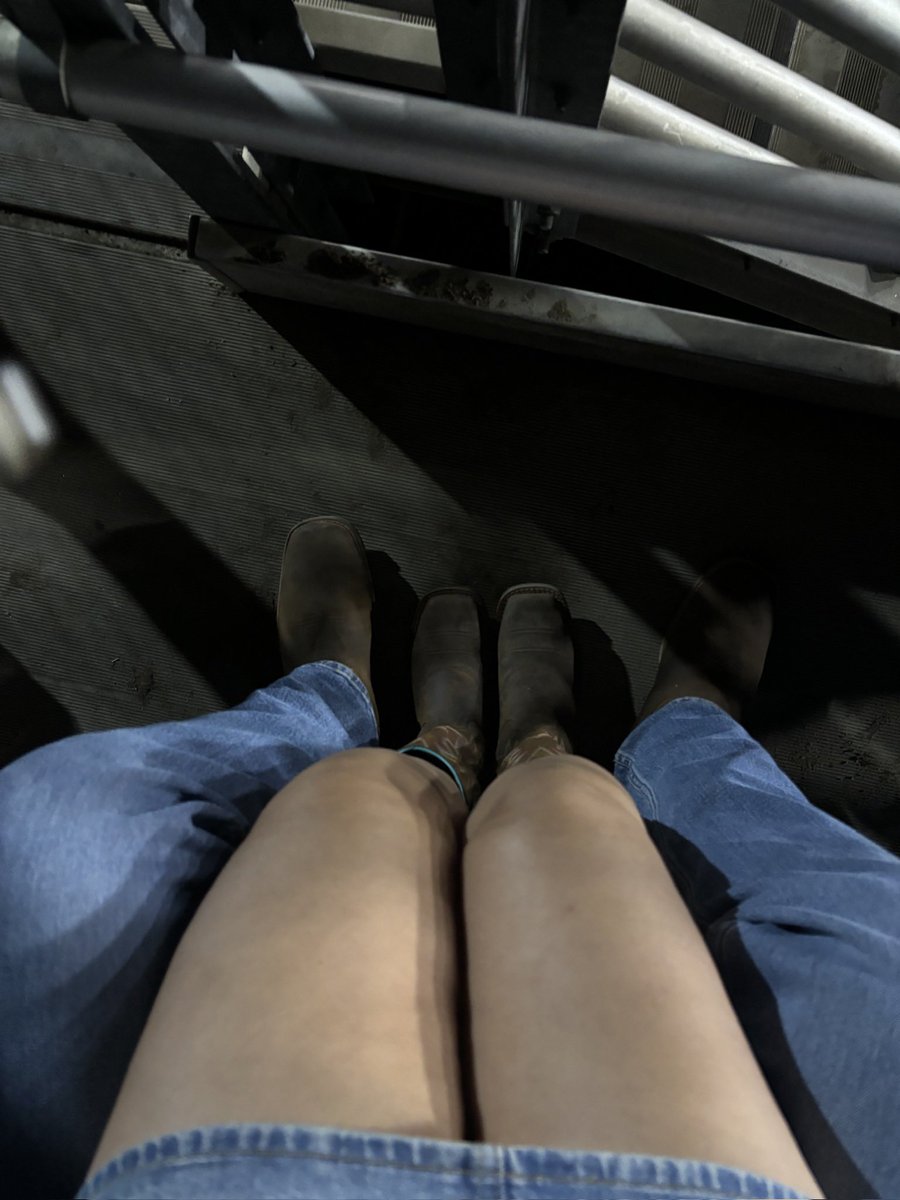 rodeo dump 🤠🤎