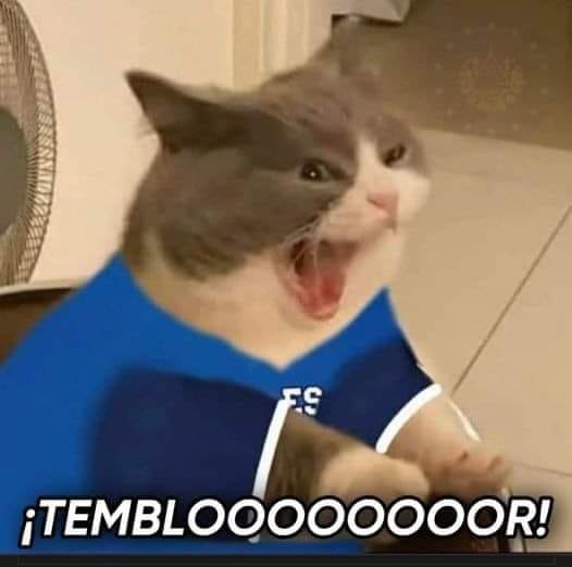 PachecoHadid's tweet photo. Mi familia en este momento🤣🤣🤣 #SismoSV https://t.co/0sZZmuhGAI