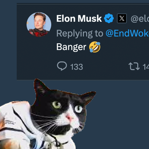 BangerOnSOL's tweet photo. @elonmusk da next $BANGER on solana is here. https://t.co/Uv2sc8eIGz