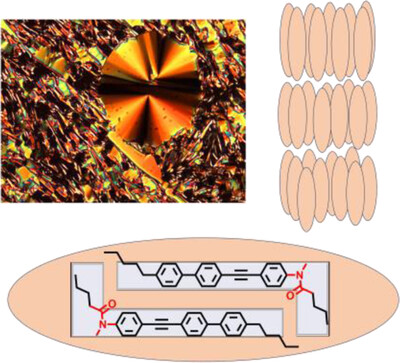 AggregateOA's tweet image. New Research Article🔬
&quot;Supramolecular liquid crystals from the dimer of L-shaped molecules with tertiary #amide end groups&quot; by Gen-ichi Konishi et al. @Alc_Rimbaud @tokyotech_jp @tokyotech_en @Wiley_Chemistry #mesogen #SLCs

Check👉doi.org/10.1002/agt2.5…