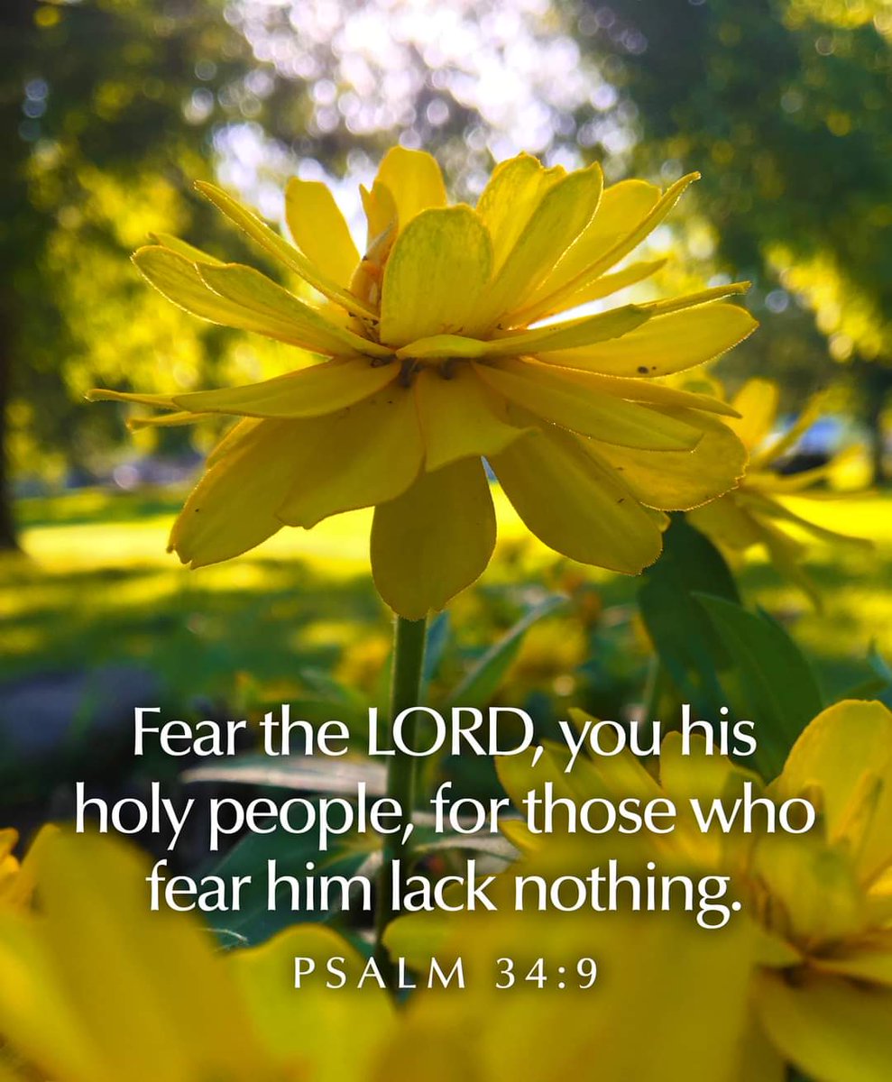 Stewart7Donna's tweet photo. Those who fear the LORD lack nothing. https://t.co/BPFhD9A7Ai
