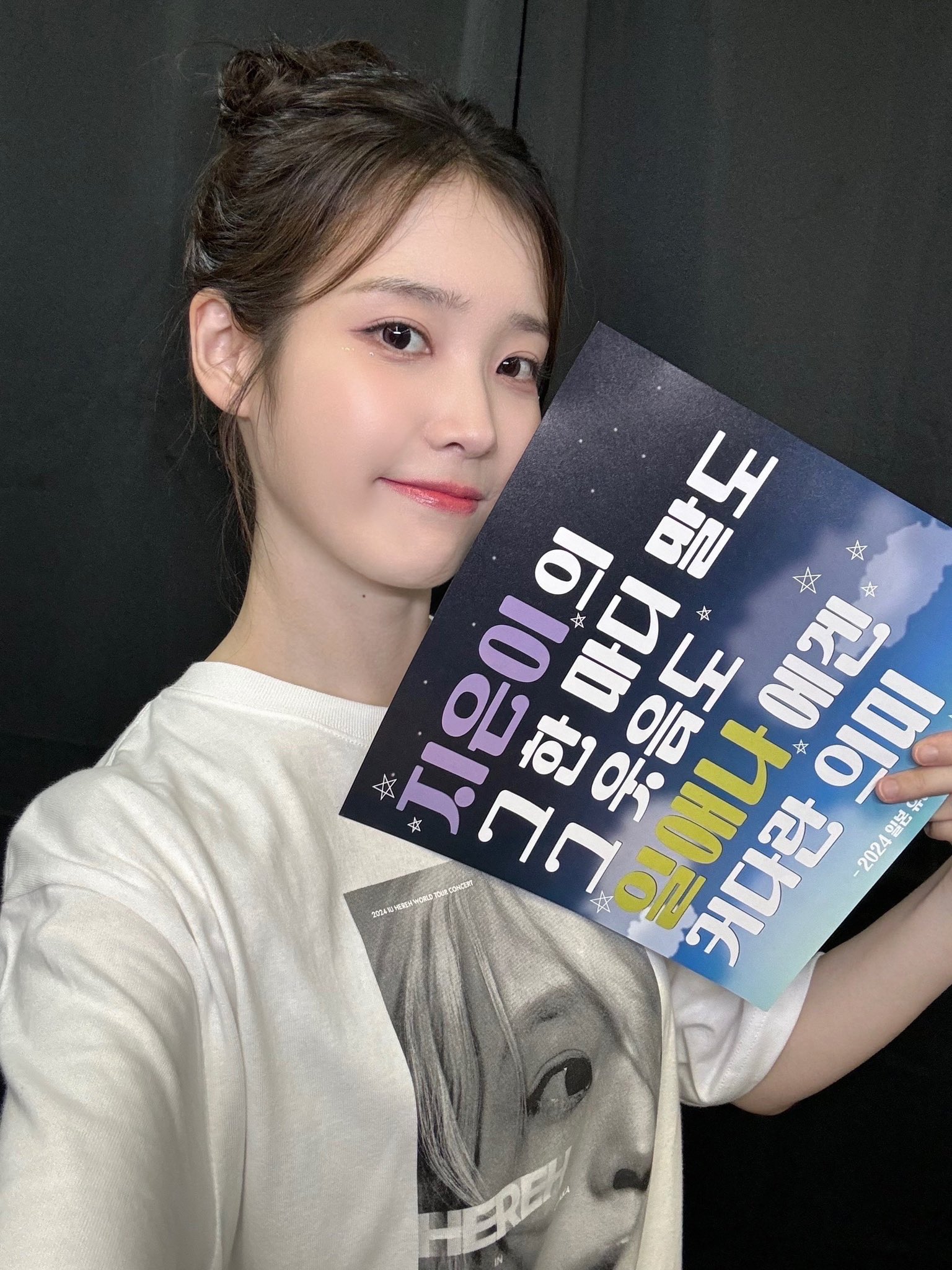 IU CONCERT:THE WINNING公式サイト