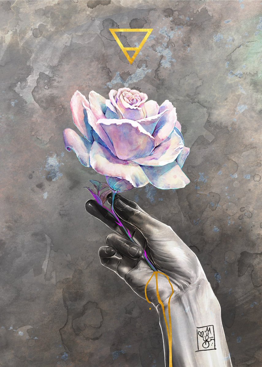 cael☀️ tweet media