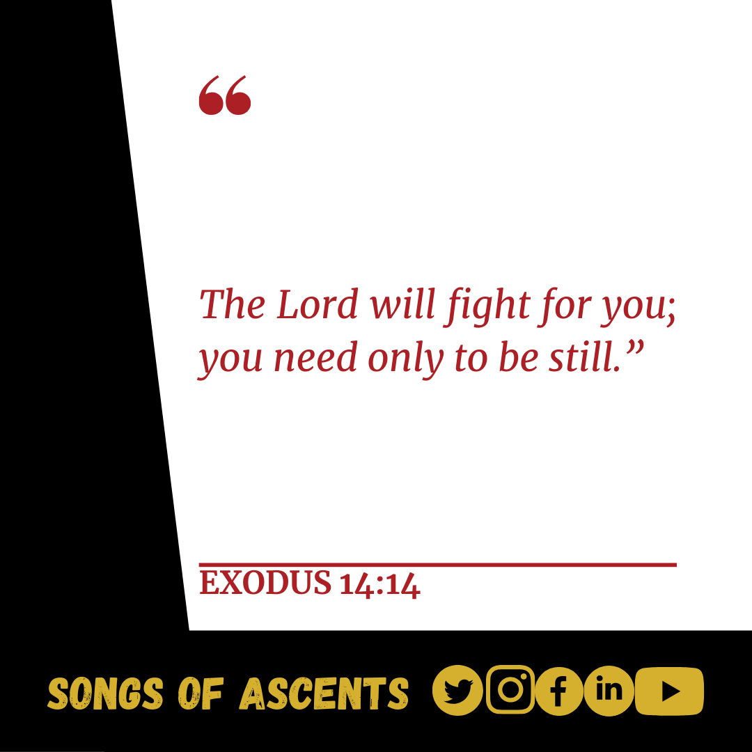 SongsofAscents's tweet photo. "The Lord will fight for you; you need only to be still.” Exodus 14:14

#verseoftheday
#verseoftheday📖
#verseoftheday🙏
#verseoftheday
#verseoftheday📖🙏
#verseoftheday🙏📖
#songsofascents https://t.co/LhsYJh0UbQ