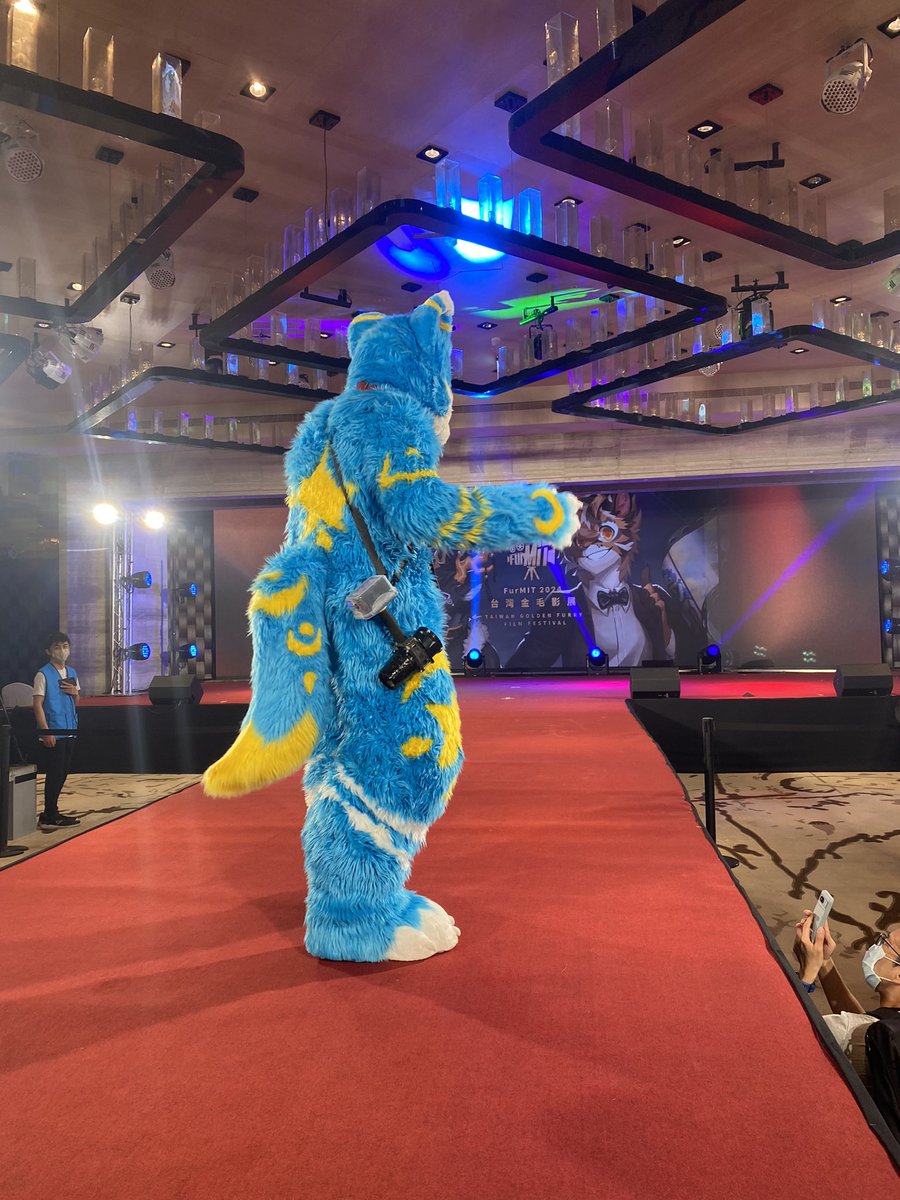 starwolf211233's tweet photo. 本狼走到哪都要帶著風扇
不然太熱了！
想被吹的請過來

#FurMIT24 

📷：月月 https://t.co/gvHiFVfsxt