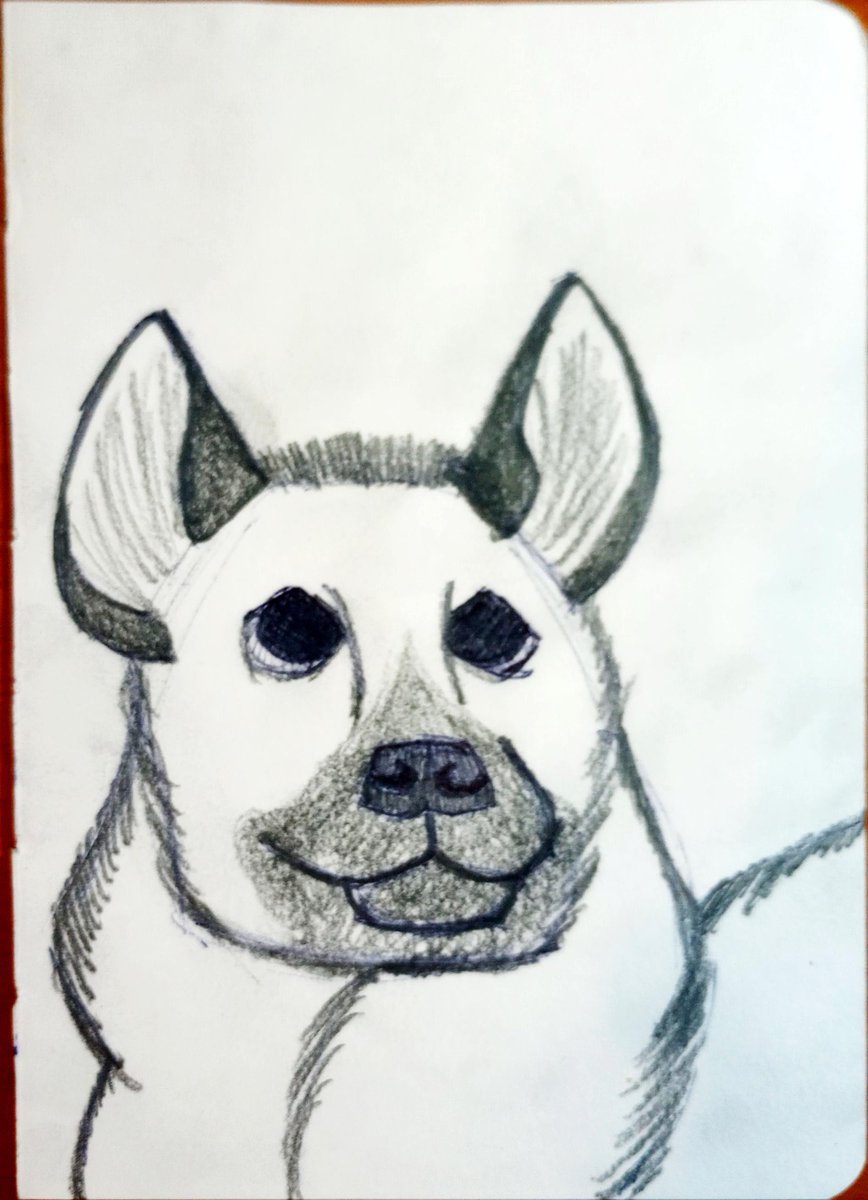 Fraser_Jay_Ryan's tweet photo. #furry #furryart #hyena #yeen #furryfandom #furrydrawing #furrycommmunity #doodle #doodling #doodleoftheday #sketching #sketch #skecthoftheday #lion #artist #twitterartist #artcommunity #artoftheday #drawing https://t.co/dbdrIoJ3tK