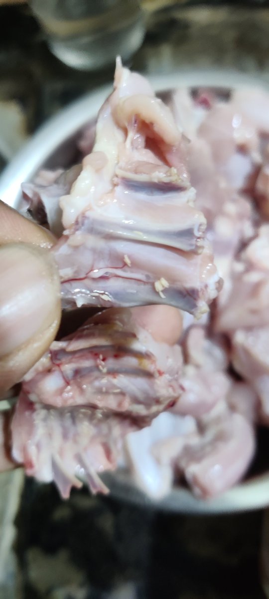 PrakashChikkam's tweet photo. @AFCGHMC @cfs_telangana @CountryChickenC I have ordered chicken from Country chicken co. They have delivered spoiled chicken. Chicken pieces have insects and larva eggs on it. I have attached sample pics. Order was delivered from KPHB country chicken outlet. https://t.co/q1XRudR66k