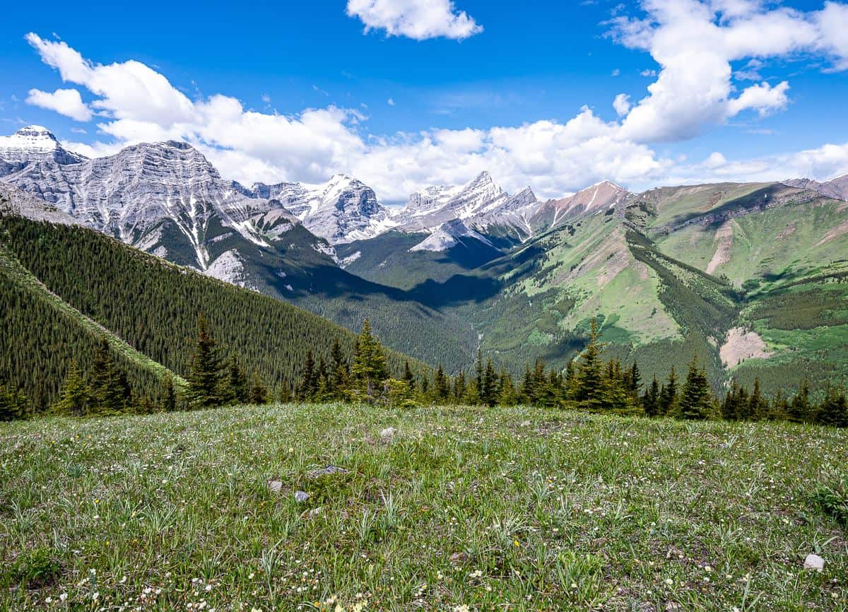 OffTrackTravel's tweet image. Mount Kidd Lookout Hike in Kananaskis dlvr.it/T9nTCP via @HikeBikeTravel