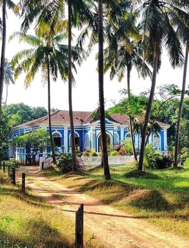 beautyofgoa's tweet image. Beautiful Goan Home 😍
#goa #beautyofgoa #goahome #home #house #coastal