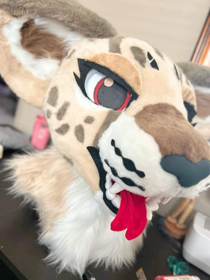 MadMonstera's tweet photo. @yinnumao Ty for the opportunity!!! https://t.co/azFQFSHJnp