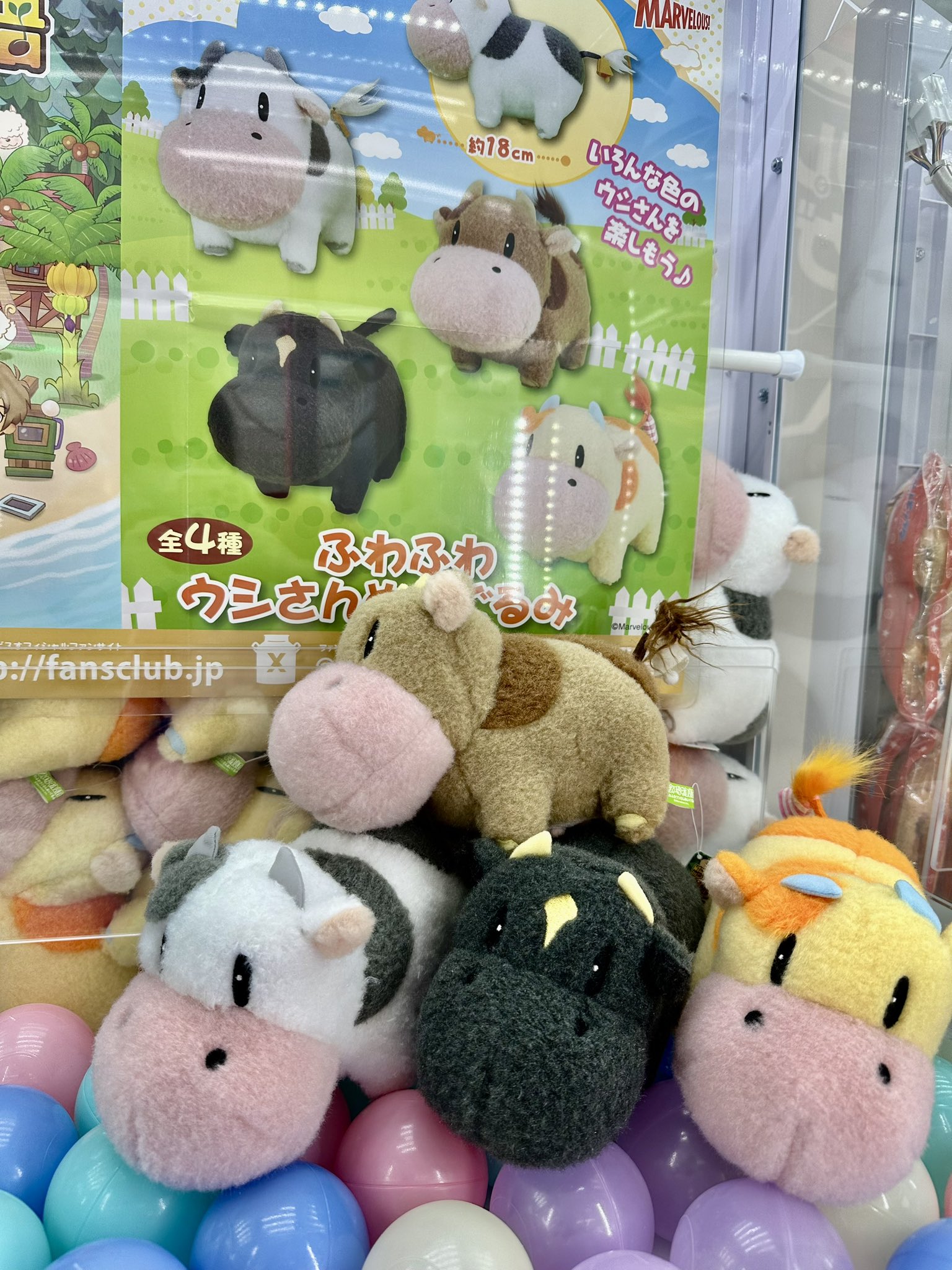 クレーンゲームNAGAOKA on X: クレーンゲームNAGAOKA on X: