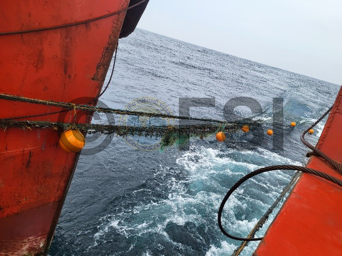 FisherySurveyOI's tweet photo. (1/4) #FSI, #Visakhapatnam BO: The abandoned lost or discarded fishing gear (#ALDFG) commonly known as ghost fishing gear adversely affect marine environment. During the month of July 2024, the survey vessel MFV #MatsyaDarshini of Fishery Survey of India (FSI), Visakhapatnam.. https://t.co/jX5ACSlaSN