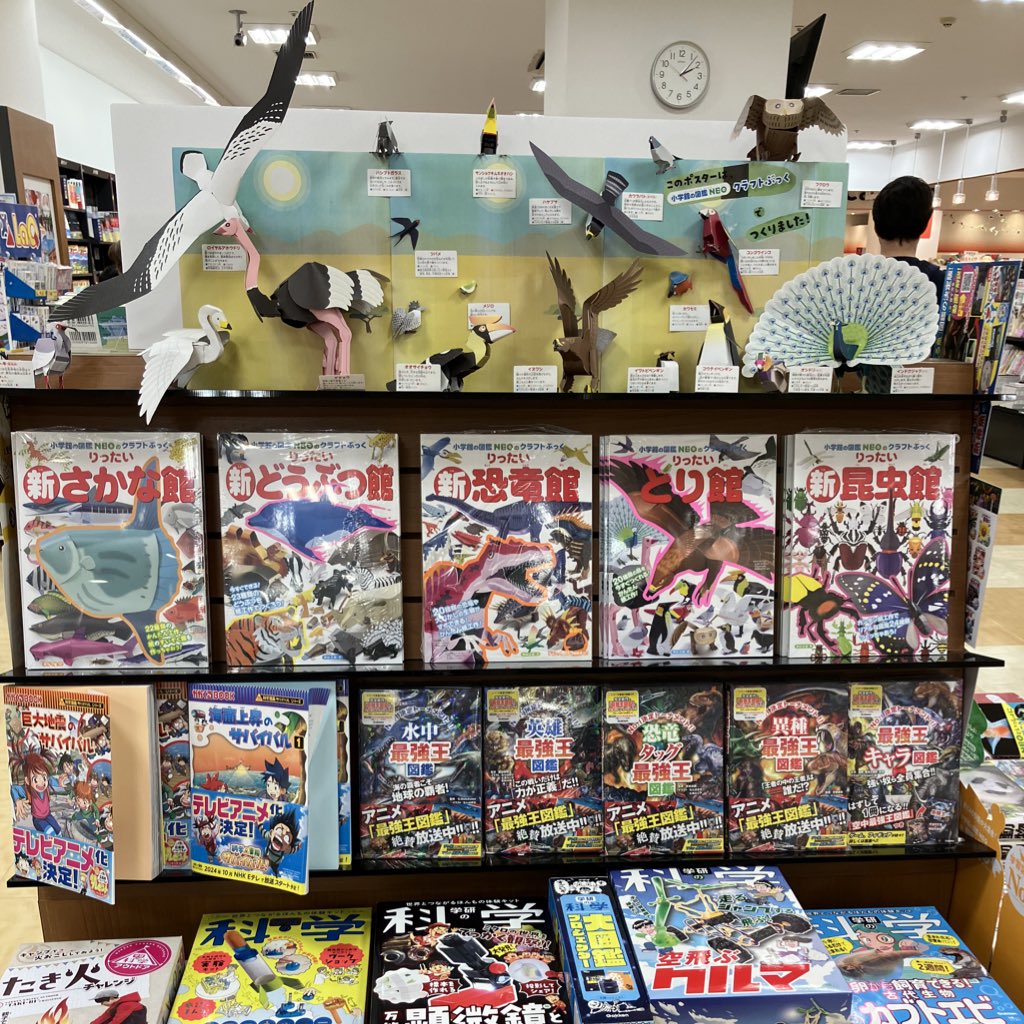 本日は夏休みにピッタリな本のご紹介です。 『小学館の図鑑NEOの 本日は夏休みにピッタリな本のご紹介です。 『小学館の図鑑NEOの