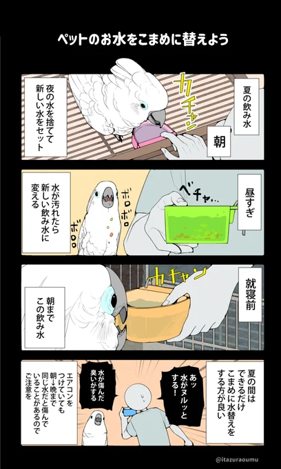 毎年恒例、暑い季節の注意喚起です。 こまめに換えれば換えるほどいいです。この時期は。