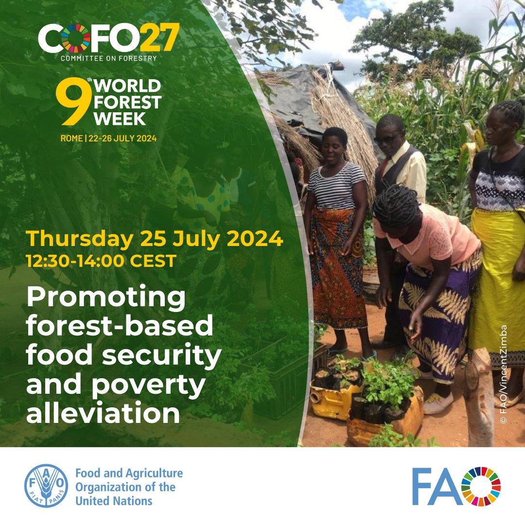 FAO Forestry tweet media