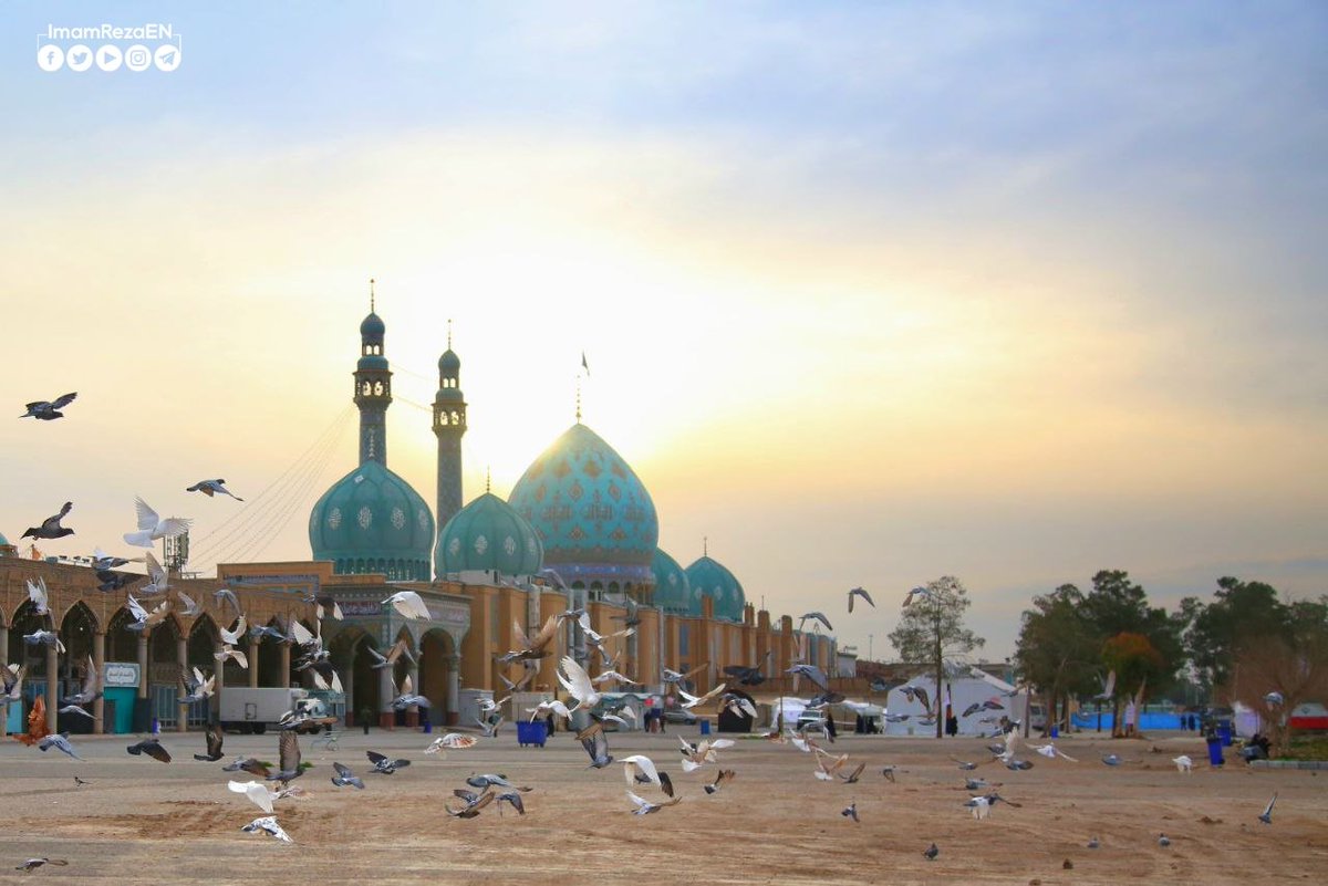 ImamRezaEN's tweet photo. Where is the one demanding [vengeance for] the blood of the one slain in Karbala?

Dua Nudba https://t.co/5uB1dZ4FPb