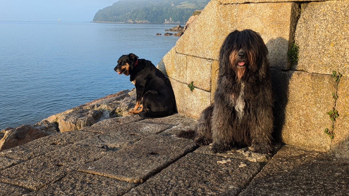 Beautiful early morning #pawtrol. Can you see us in the panorama? 🐾💖☀️