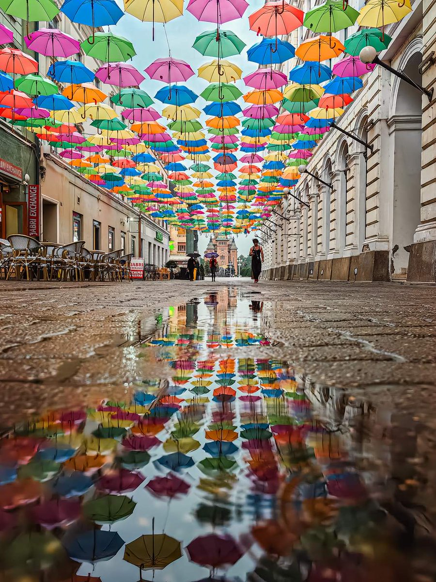 Travel_2Romania's tweet photo. ☔☔☔🌈☔☔☔™️💯🔝
#timisoara #visittimisoara #LaPasPrinTimisoara #rainyday
©️ Adrian T Photographer
#TraveltoRomânia https://t.co/5mvN42RrGL